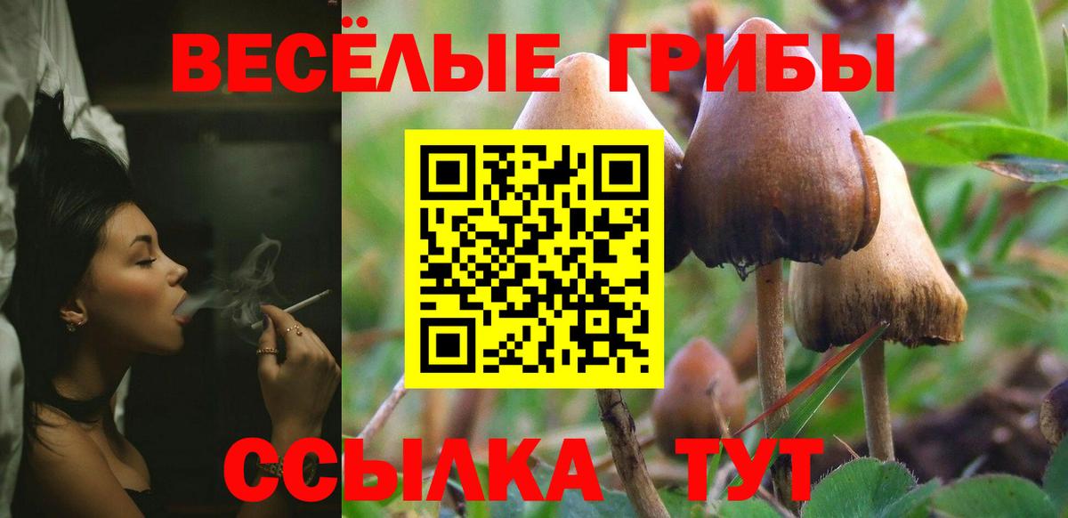 Галлюциногенные грибы мицелий  Псилоцибиновые грибы ЛСД  Феодосия  Вход с VPN 