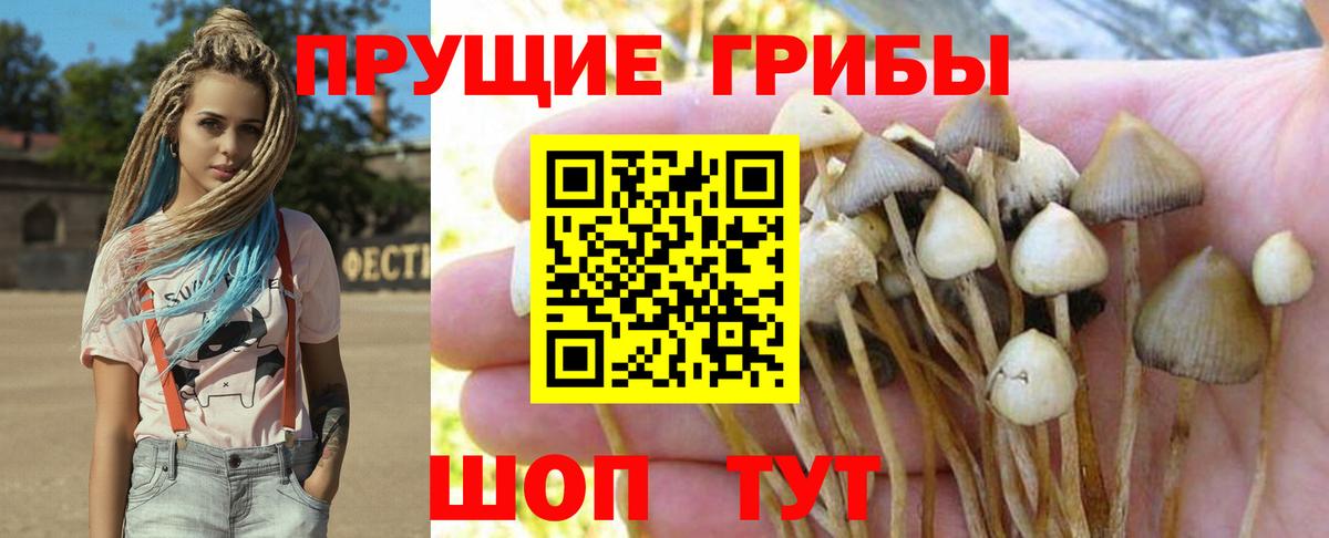 Псилоцибиновые грибы GOLDEN TEACHER Феодосия